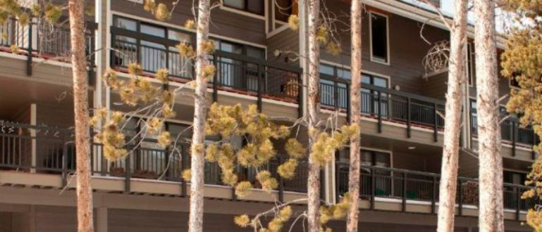 Fachada de condomínios cercados por árvores cobertas de neve.